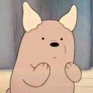 柔柔小可爱的个人资料头像