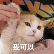 Lurgee的个人资料头像