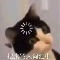 橙林Ccc头像