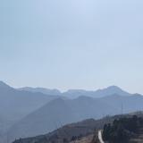 热情奔放的小红花头像