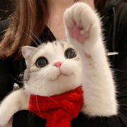 LeoTao的个人资料头像