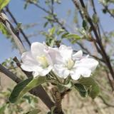 老牛拉破车723头像