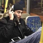 陈香芋_的个人资料头像