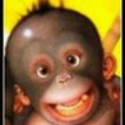 猩崽大叔的个人资料头像