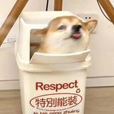 幽默艺术家kR8头像