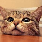 007sakura的个人资料头像