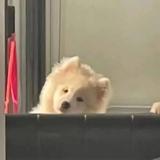 用户260742514676头像