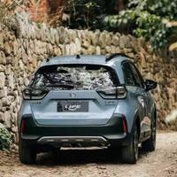 有趣的山雀dT头像