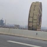 开朗大方勇敢小杨头像