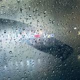 破破1101头像