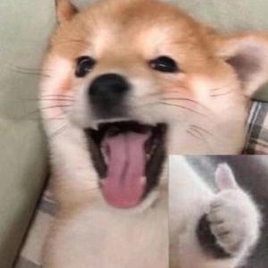 日富一日gogogo头像