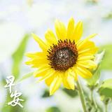 用户9178980191951头像