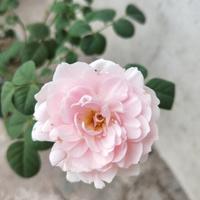 善待自己71018头像