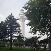 时人已识凌云木的个人资料头像