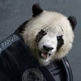 轮胎2头像