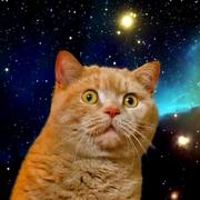 coin是英雄的个人资料头像