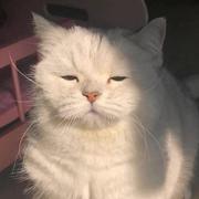 JAN393的个人资料头像