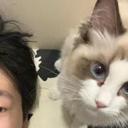 多吃米饭的个人资料头像