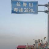 198084200913头像