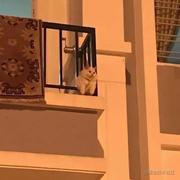 阿离离离离的个人资料头像