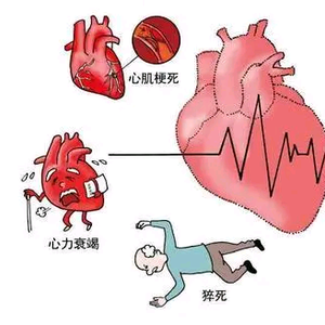 宋海沧医生头像