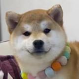 用户6329144725313头像