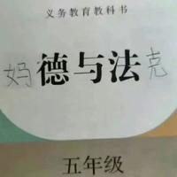 乐天派豆花LFg头像