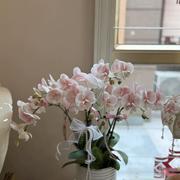 吖嘿嘿嘿的个人资料头像