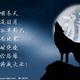 呮洇侑伱226头像