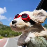 F_zh的个人资料头像