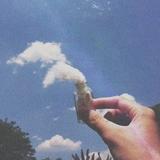 拉布拉多拉地多头像