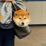 coder成的个人资料头像