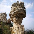 耿志国的个人资料头像