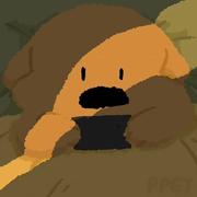 匿名51的个人资料头像