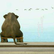 9号YJ的个人资料头像