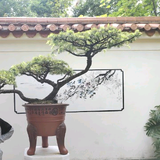 非凡阳光IvG头像