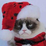 qp的个人资料头像