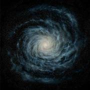 neoms的个人资料头像