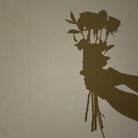 Honda硬地瓜头像