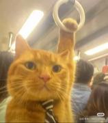 掘金MOMO的个人资料头像