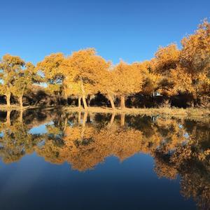 老黄自驾游头像