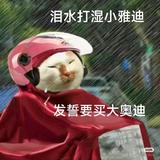 碳水也是水头像