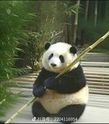 小李______的个人资料头像