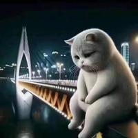 龙哥电车头像
