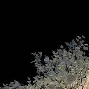 用户3353081045671的个人资料头像