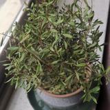 供暖用户头像
