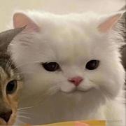 ifiiiiiyou的个人资料头像