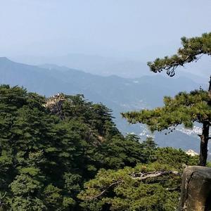 非洲的雨水头像