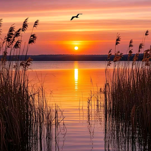 运动养生大红哥头像