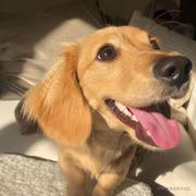 春风洋溢的个人资料头像